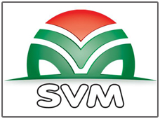 SVM Beograd